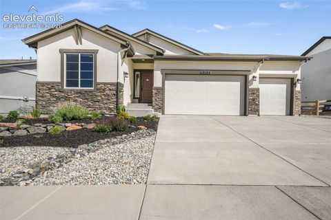 Photo of 10104 Emerald Lake Lane, Colorado Springs, CO 80924 (MLS # 9497362)