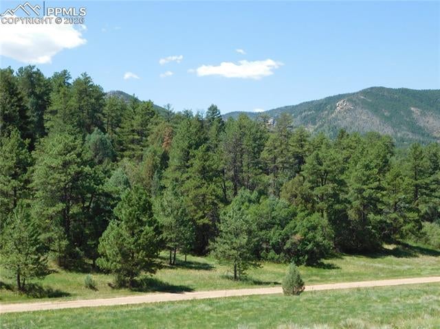 4668 Comanche Drive, Larkspur, CO, 80118 4668 Comanche Drive