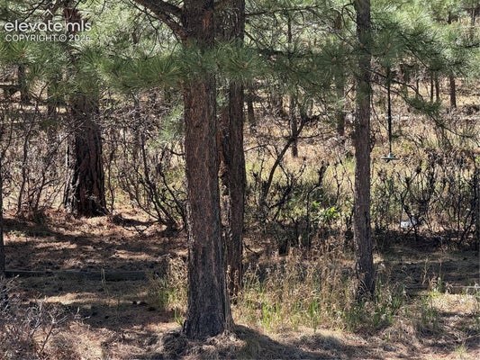 5630 JARMAN ST, COLORADO SPRINGS, CO 80906 - Image b569dfd7faa07f1d18f9413cf575ea14/2974872760