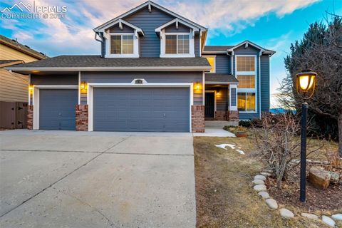 Photo of 3217 Sand Flower Drive, Colorado Springs, CO 80920 (MLS # 6911614)