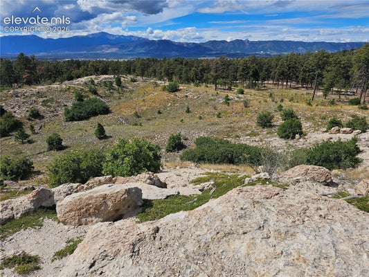 TBD FALCON DRIVE, COLORADO SPRINGS, CO 80908 - Image b5a48997cf018e4473f7991dba63d09f/703418861