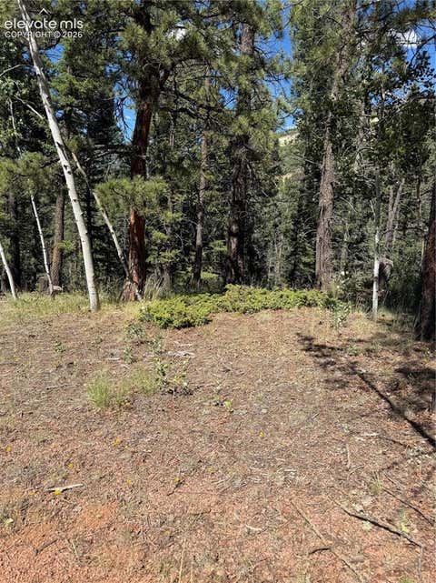 Photo of 1007 Derby Drive, Cripple Creek, CO 80813 (MLS # 8669310)