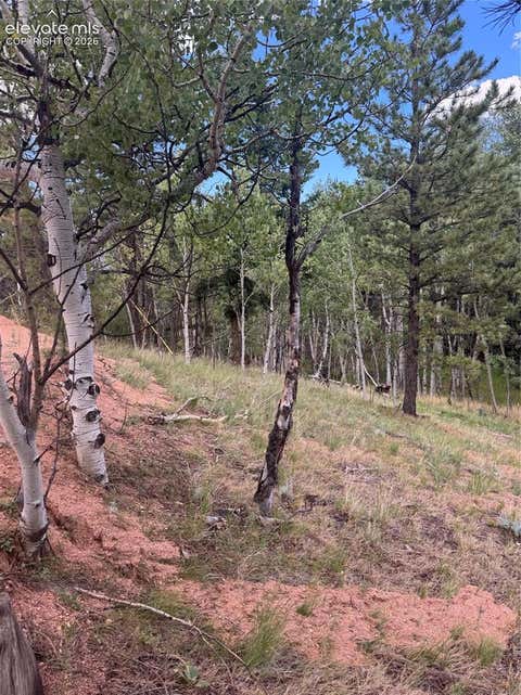 Photo of 40 Sequoia Trail, Woodland Park, CO 80863 (MLS # 8579868)