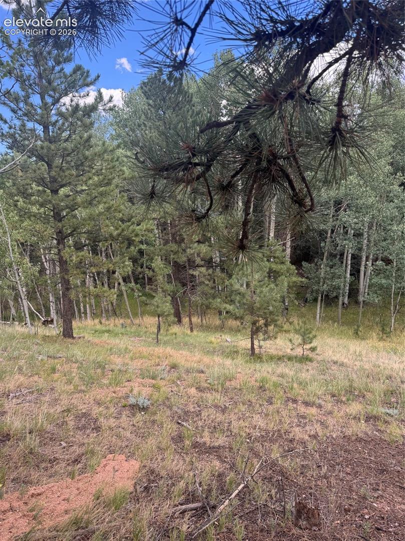 40 Sequoia Trail