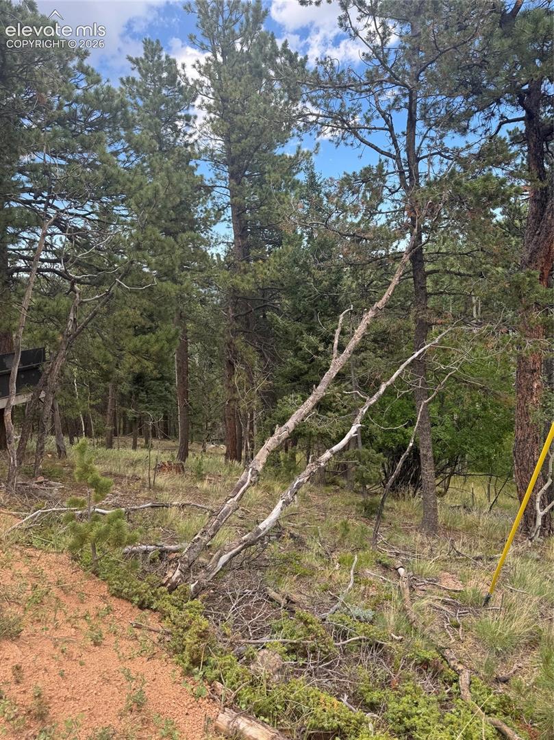 40 Sequoia Trail