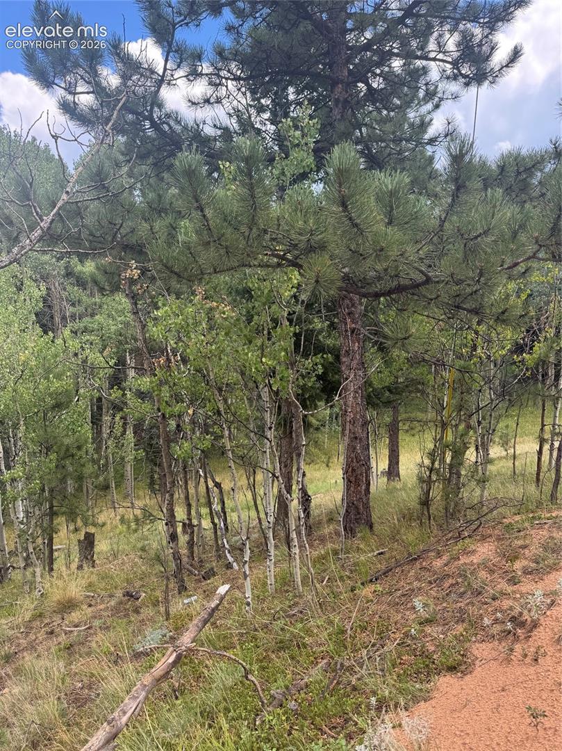 40 Sequoia Trail