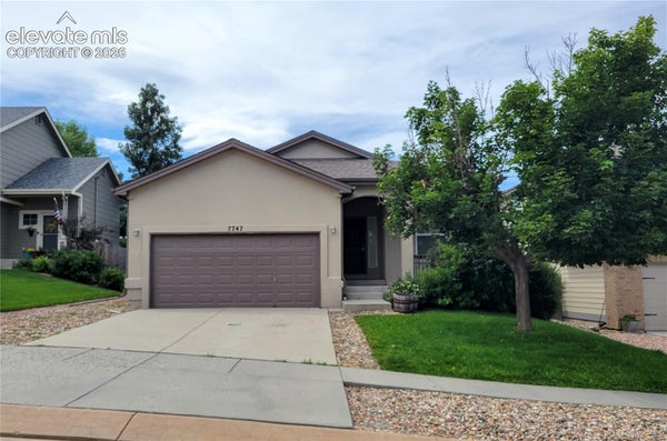 7747 MOUNTAIN LAUREL DR, COLORADO SPRINGS, CO 80922 - Image b74056ed8d4cfa110c5de3ebd8a01fc6/3245627043