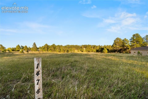 Photo of 14745 W Kiowa Creek Lane, Colorado Springs, CO 80908 (MLS # 6252333)
