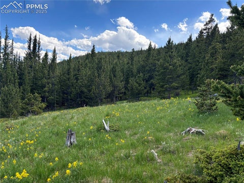 Photo of Hilltop Road, Idaho Springs, CO 80452 (MLS # 5504075)