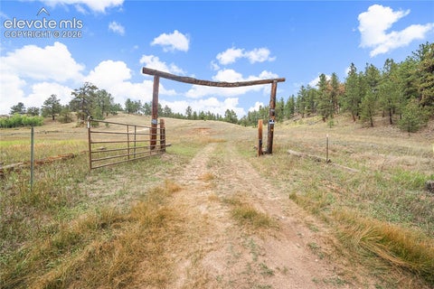 Photo of 8567 County Road 3, Divide, CO 80814 (MLS # 9086987)