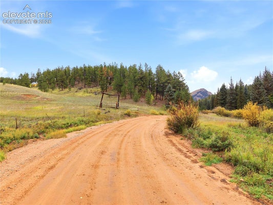 8567 COUNTY RD 3, DIVIDE, CO 80814 - Image b91bdf6a554e5d5c91efd5f420c80bac/39791335