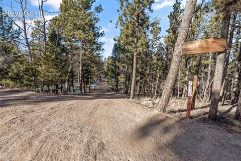 Tiny photo for 2270 Pikes Peak Drive, Florissant, CO 80816 (MLS # 8201080)