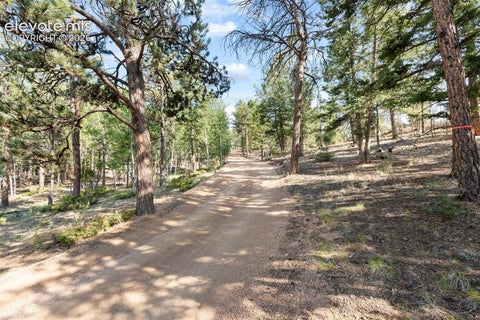 Tiny photo for 2270 Pikes Peak Drive, Florissant, CO 80816 (MLS # 8201080)