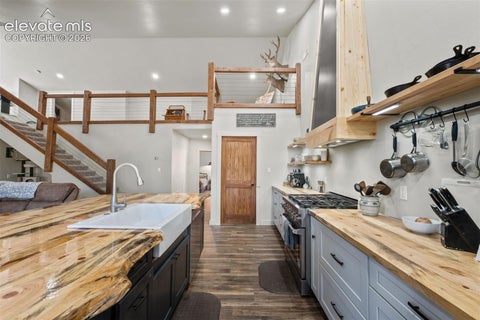 Tiny photo for 2270 Pikes Peak Drive, Florissant, CO 80816 (MLS # 8201080)
