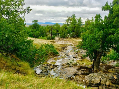 Photo of TBD Pickney Road, Rye, CO 81069 (MLS # 2635299)