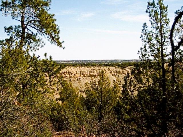 TBD Pickney Road