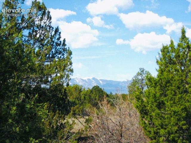 TBD Pickney Road
