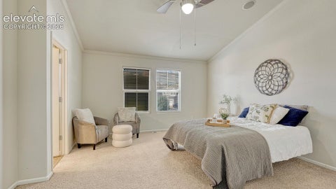 Tiny photo for 7620 Sandy Springs Point, Fountain, CO 80817 (MLS # 9216050)