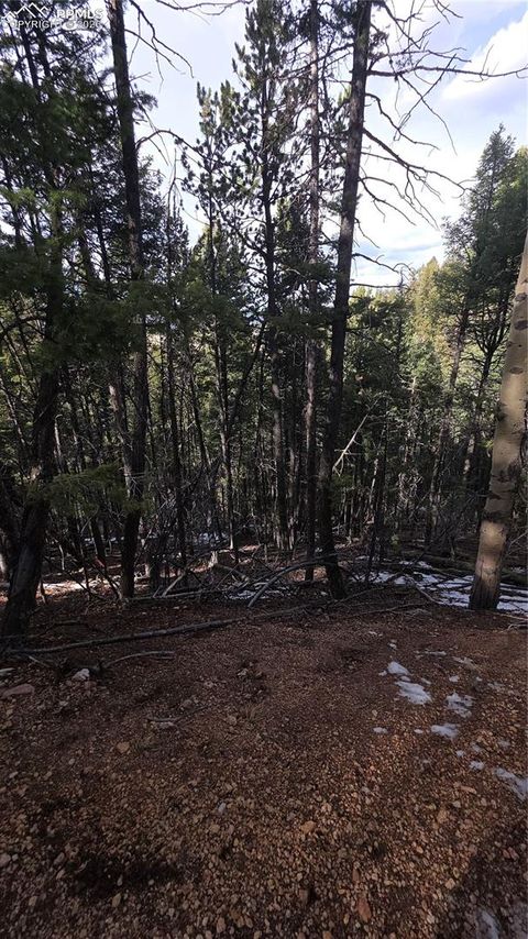 Photo of 157 Gitchigoomee Trail, Woodland Park, CO 80863 (MLS # 5463997)