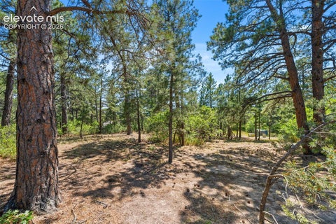 Tiny photo for 1675 Oakwood Drive, Monument, CO 80132 (MLS # 7876425)