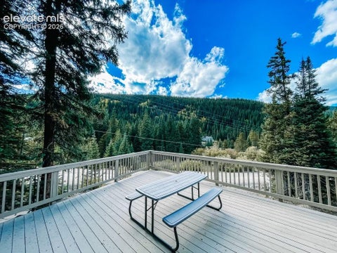 Tiny photo for 193 Range Road #1, Breckenridge, CO 80424 (MLS # 7902102)