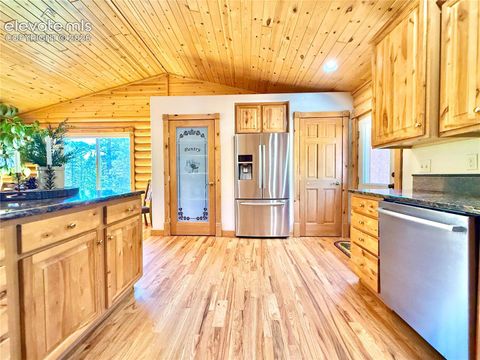 Tiny photo for 35 Meadow Creek Road, Divide, CO 80814 (MLS # 2971153)