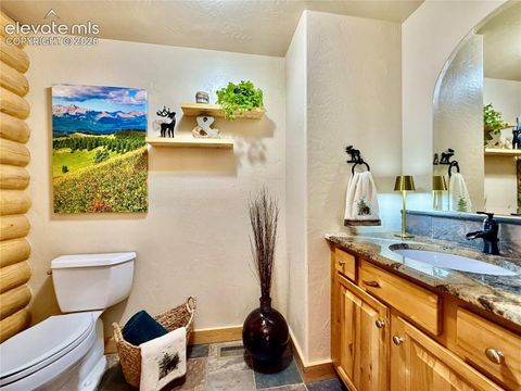 Tiny photo for 35 Meadow Creek Road, Divide, CO 80814 (MLS # 2971153)