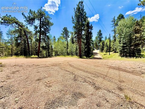 Tiny photo for 35 Meadow Creek Road, Divide, CO 80814 (MLS # 2971153)