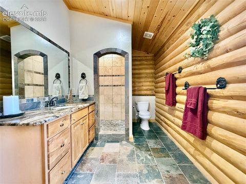 Tiny photo for 35 Meadow Creek Road, Divide, CO 80814 (MLS # 2971153)
