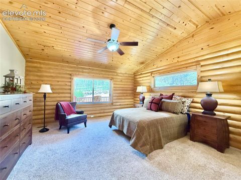 Tiny photo for 35 Meadow Creek Road, Divide, CO 80814 (MLS # 2971153)