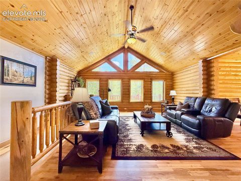 Tiny photo for 35 Meadow Creek Road, Divide, CO 80814 (MLS # 2971153)