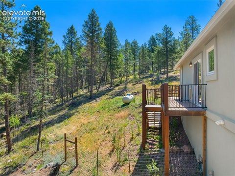 Tiny photo for 2775 Pathfinder Road, Florissant, CO 80816 (MLS # 9426774)