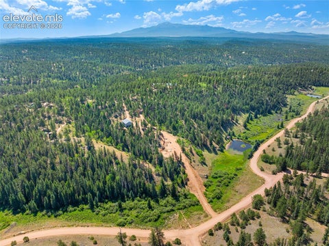 Tiny photo for 2775 Pathfinder Road, Florissant, CO 80816 (MLS # 9426774)