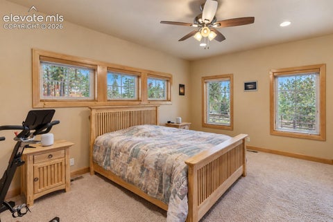 Tiny photo for 410 Karen Lane, Woodland Park, CO 80863 (MLS # 8484217)