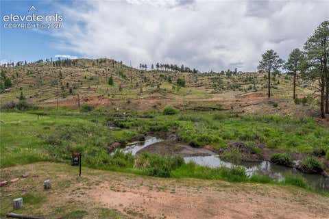 Tiny photo for 15970 Willow Way, Woodland Park, CO 80863 (MLS # 7601418)