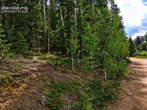 Photo of 2462 Anges Drive, Cripple Creek, CO 80813 (MLS # 4903888)