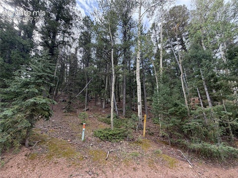 Photo of 118 Will Stutley Drive, Divide, CO 80814 (MLS # 6725620)