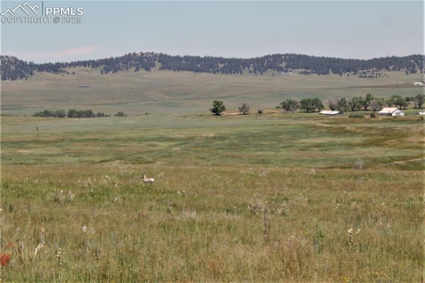 Photo of 6 McClelland Road, Calhan, CO 80808 (MLS # 2019891)