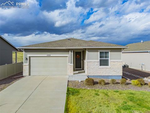 Photo of 12828 Stone Valley Drive, Peyton, CO 80831 (MLS # 8806954)