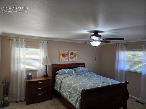 Tiny photo for 2565 Brady Drive, Colorado Springs, CO 80917 (MLS # 6895007)