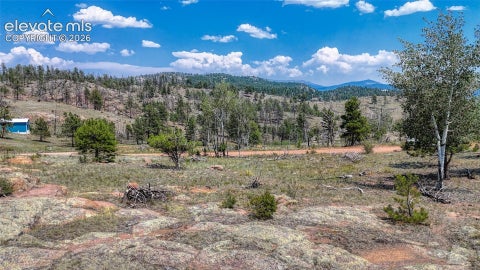 Photo of 617 Chateau Vista, Florissant, CO 80816 (MLS # 3669069)