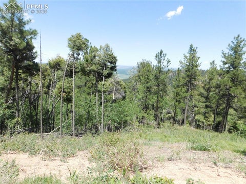 Photo of 13670 Spruce Creek Circle, Larkspur, CO 80118 (MLS # 8449526)