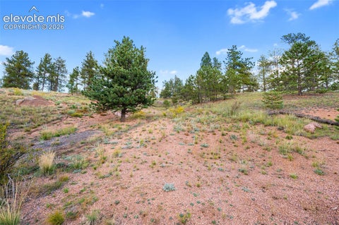 Photo of 28 Pinnacle Circle, Florissant, CO 80816 (MLS # 2951731)