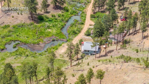 Tiny photo for 15970 Willow Way, Woodland Park, CO 80863 (MLS # 9925524)