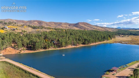 Tiny photo for 15970 Willow Way, Woodland Park, CO 80863 (MLS # 9925524)