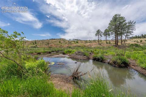 Tiny photo for 15970 Willow Way, Woodland Park, CO 80863 (MLS # 9925524)
