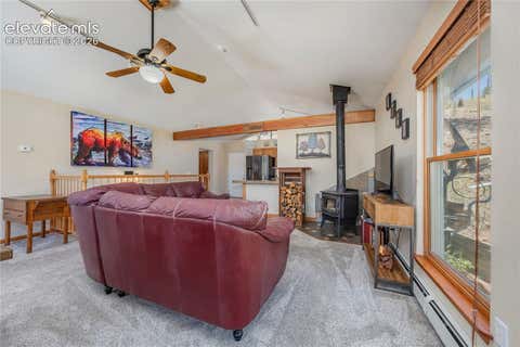 Tiny photo for 15970 Willow Way, Woodland Park, CO 80863 (MLS # 9925524)