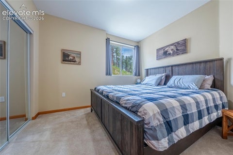 Tiny photo for 15970 Willow Way, Woodland Park, CO 80863 (MLS # 9925524)