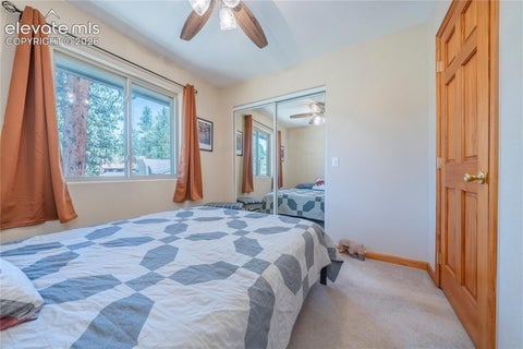 Tiny photo for 15970 Willow Way, Woodland Park, CO 80863 (MLS # 9925524)