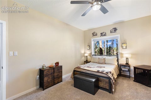 Tiny photo for 3115 Regent Drive, Woodland Park, CO 80863 (MLS # 6713422)